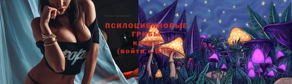 сатива Аркадак