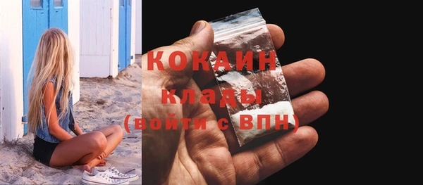 сатива Аркадак