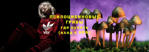 сатива Аркадак