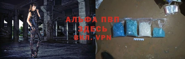 сатива Аркадак