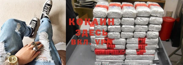дживик Снежинск